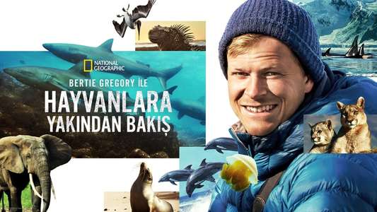 Animals Up Close with Bertie Gregory - Backdrops