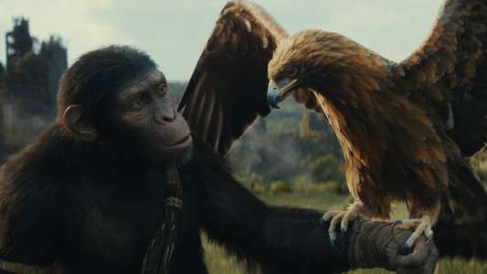 Kingdom of the Planet of the Apes - Backdrops