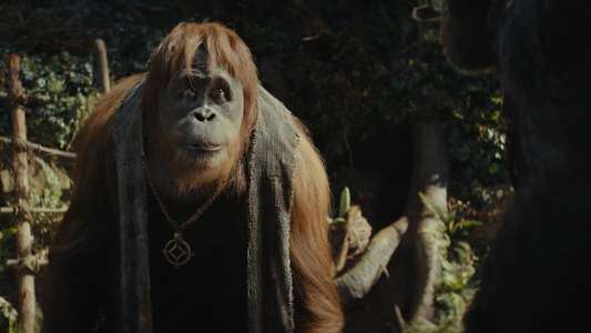 Kingdom of the Planet of the Apes - Backdrops