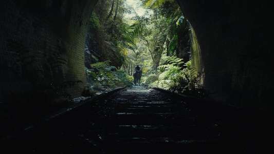 Kingdom of the Planet of the Apes - Backdrops