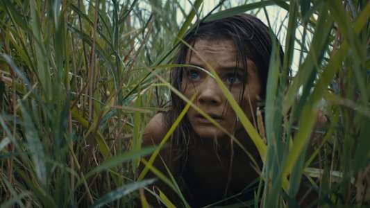 Kingdom of the Planet of the Apes - Backdrops