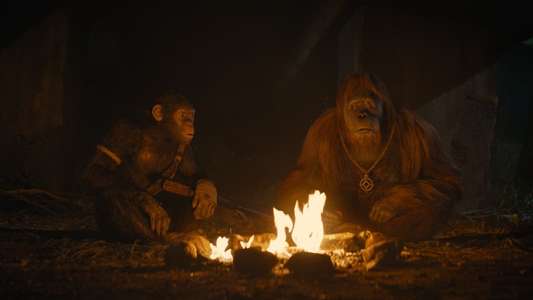 Kingdom of the Planet of the Apes - Backdrops