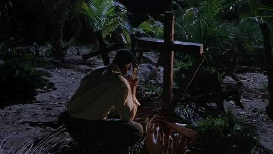 Wild Things 2 - Backdrop