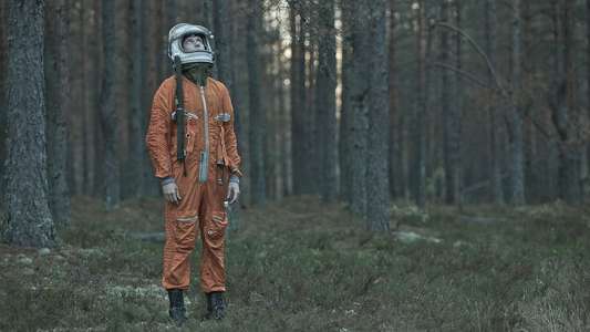 The Cosmonaut - Backdrop