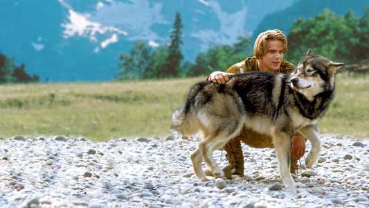 White Fang 2: Myth of the White Wolf - Backdrop