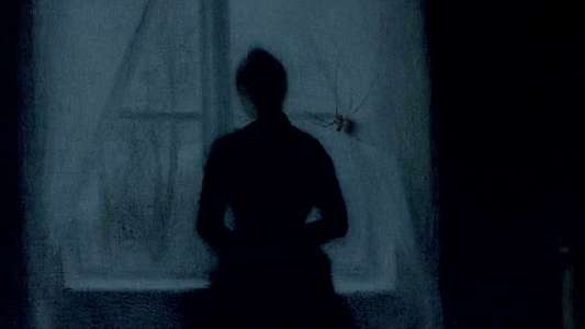 Phobia - Backdrop