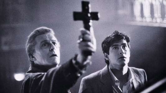 You're So Cool Brewster! The Story of Fright Night - Backdrop