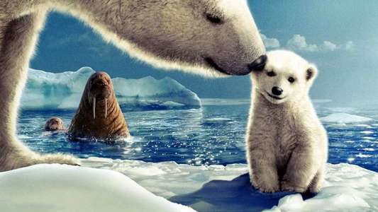 Arctic Tale - Backdrop