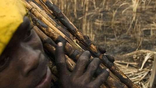 The Price of Sugar - Backdrop