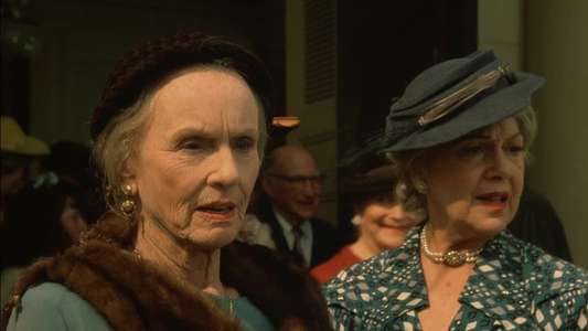 Driving Miss Daisy - Backdrop