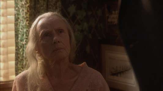 Driving Miss Daisy - Backdrop