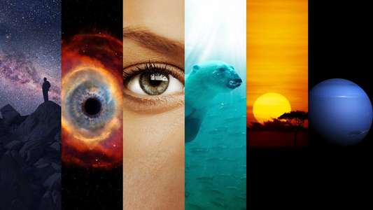 Cosmos: A Spacetime Odyssey - Backdrops