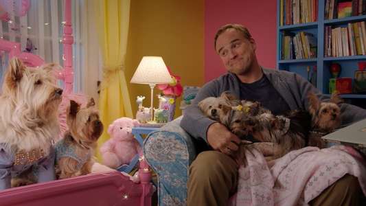 Puppy Star Christmas - Backdrops