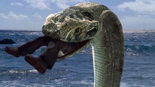 Komodo vs. Cobra - Backdrop