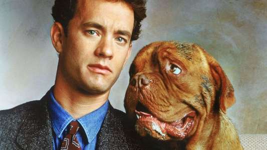 Turner & Hooch - Backdrops