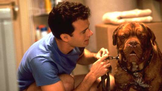 Turner & Hooch - Backdrops