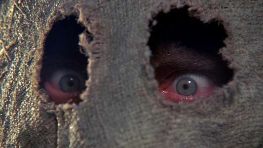 Dark Night of the Scarecrow - Backdrop