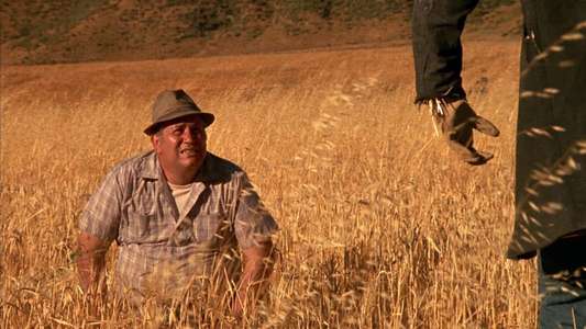 Dark Night of the Scarecrow - Backdrop