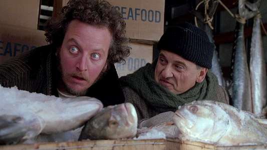 Home Alone 2: Lost in New York - Backdrops