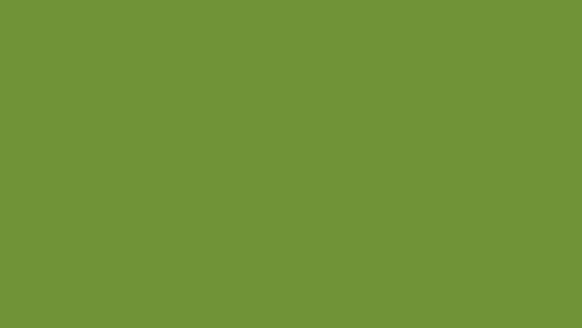 Shrek 5 - Backdrops