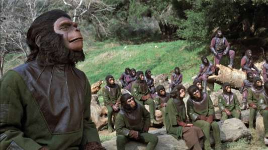 Battle for the Planet of the Apes - Backdrop