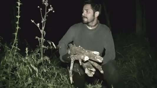 The Woodsman - Backdrop