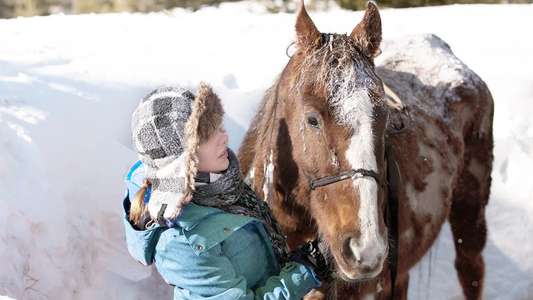 The Horses Of McBride - Backdrop