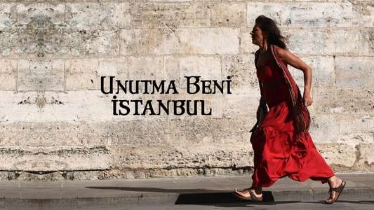 Do Not Forget Me Istanbul - Backdrop
