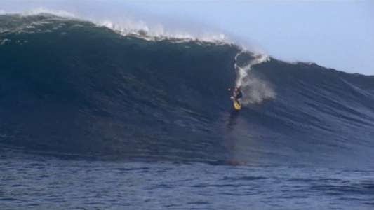 Billabong Odyssey - Backdrop