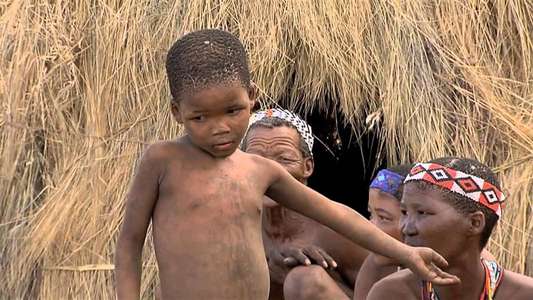 Africa  Blood & Beauty - Backdrop