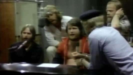 Beach Boys: Surfin' Success - Backdrop
