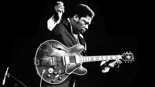 B.B. King: The Life of Riley - Backdrop
