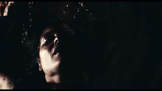 The Black Dahlia Haunting - Backdrop
