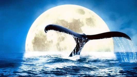 Deep Blue - Backdrop