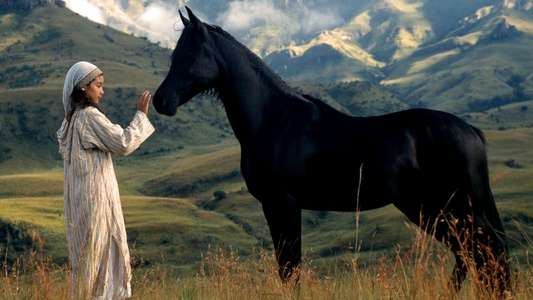 Young Black Stallion - Backdrops
