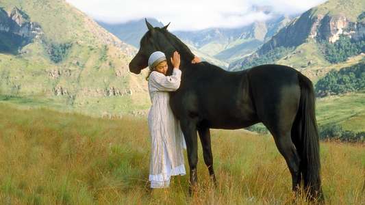 Young Black Stallion - Backdrops