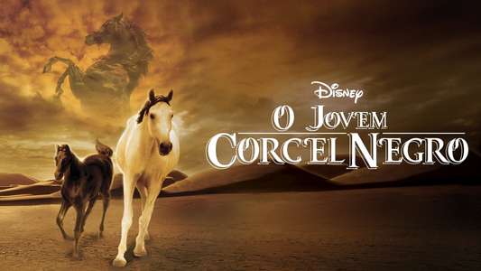 Young Black Stallion - Backdrops