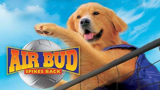 Air Bud: Spikes Back - Backdrop