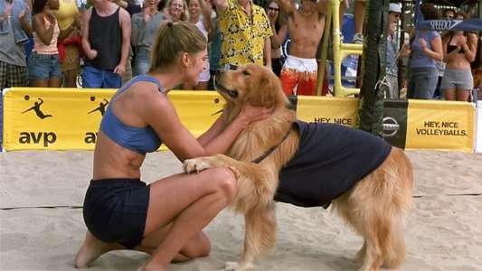 Air Bud: Spikes Back - Backdrop