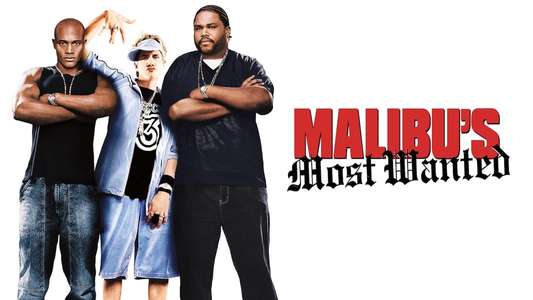 Malibu's Most Wanted - Backdrop