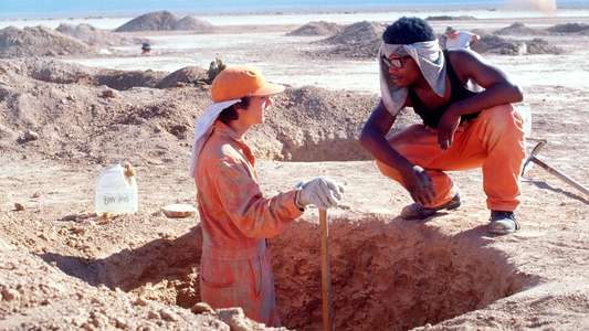 Holes - Backdrop