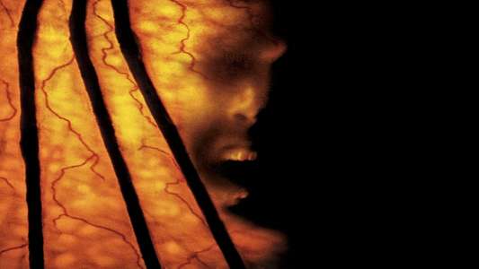 Jeepers Creepers 2 - Backdrops