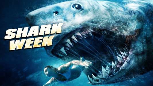 Shark Week - Backdrop
