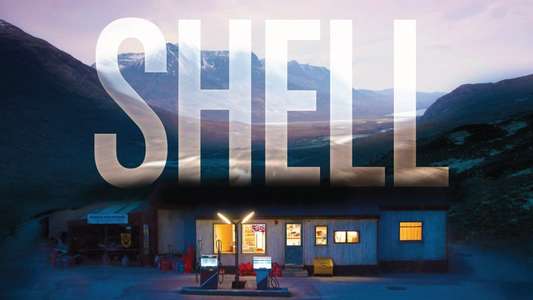 Shell - Backdrop