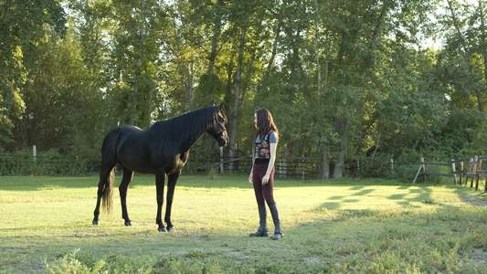 Flicka: Country Pride - Backdrops