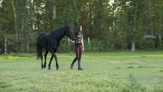 Flicka: Country Pride - Backdrops