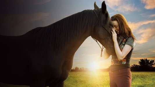 Flicka: Country Pride - Backdrops