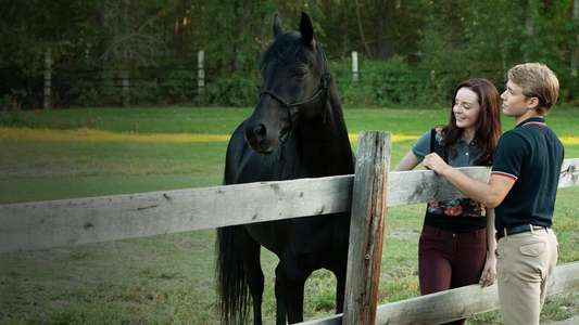 Flicka: Country Pride - Backdrops