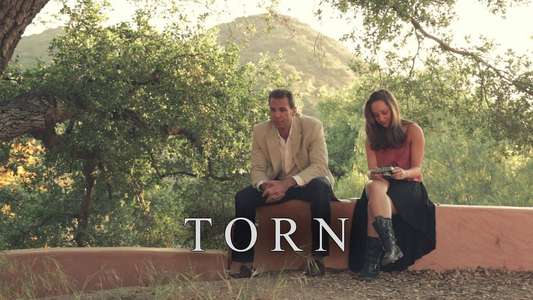 Torn - Backdrop