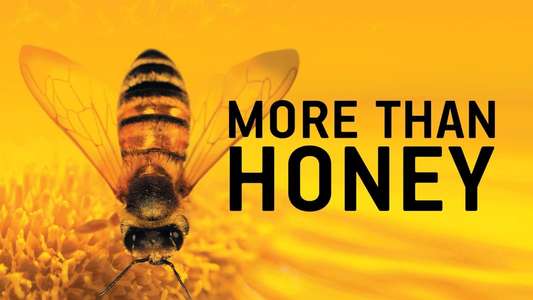 More than Honey - Backdrop